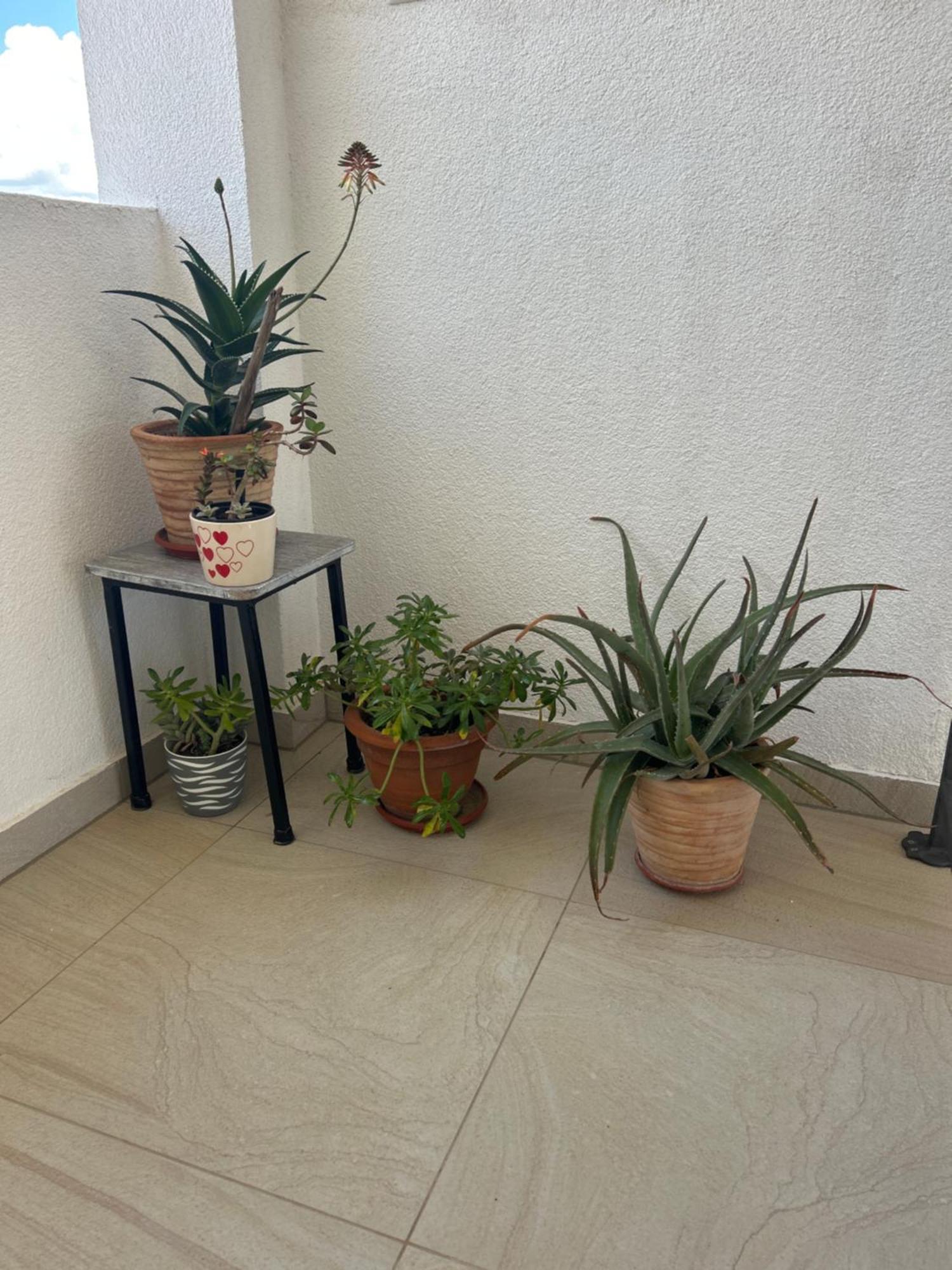 Apartments Purkovic Vodice Esterno foto